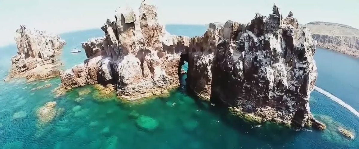 Why Baja California Sur is an Ecological Treasure