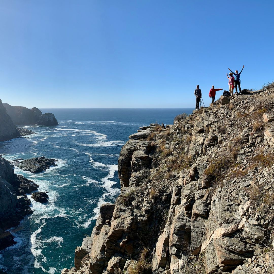 Punta Lobos Hiking & Todos Santos Exploration: A Baja Coastal Journey