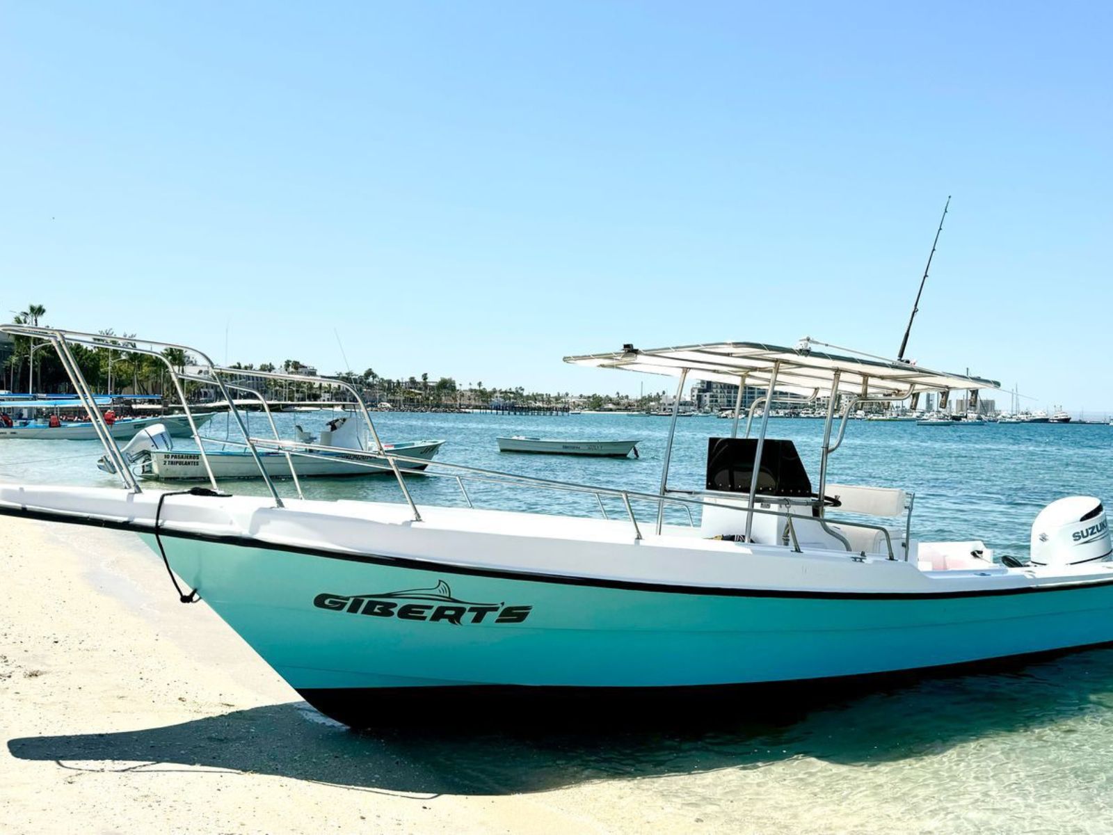 Sport Fishing Charters Mogote