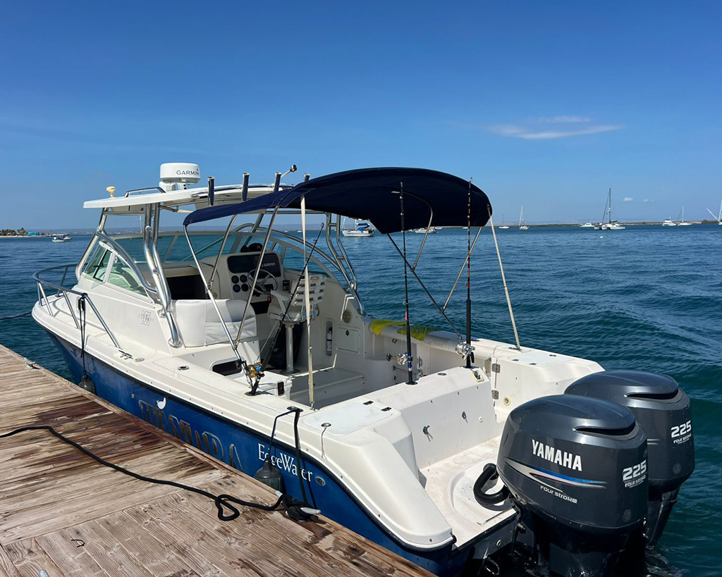 Sport Fishing Charters Mogote