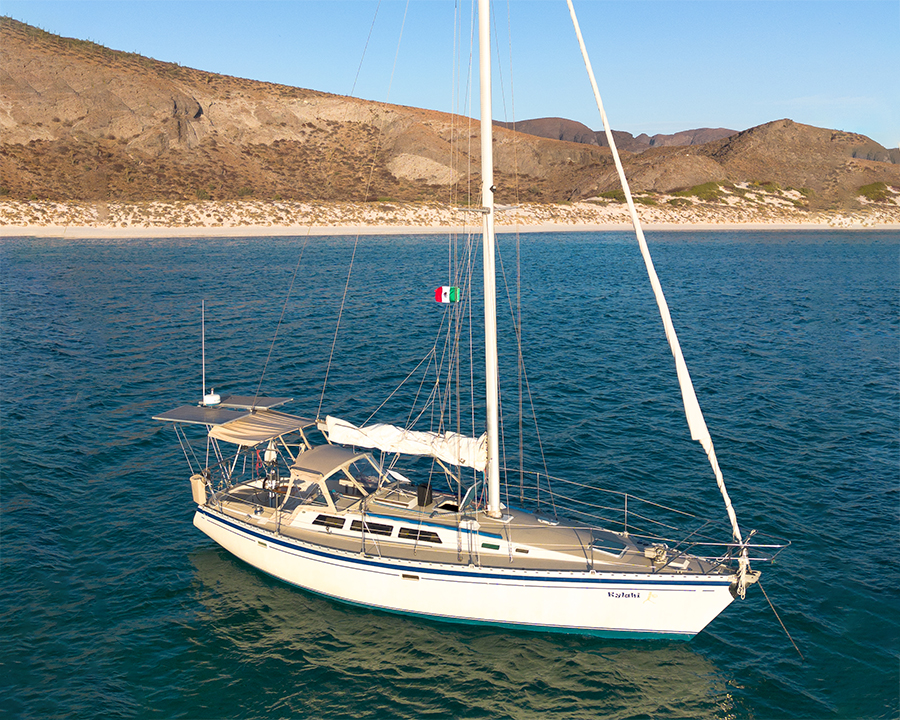 Sport Fishing Charters Mogote