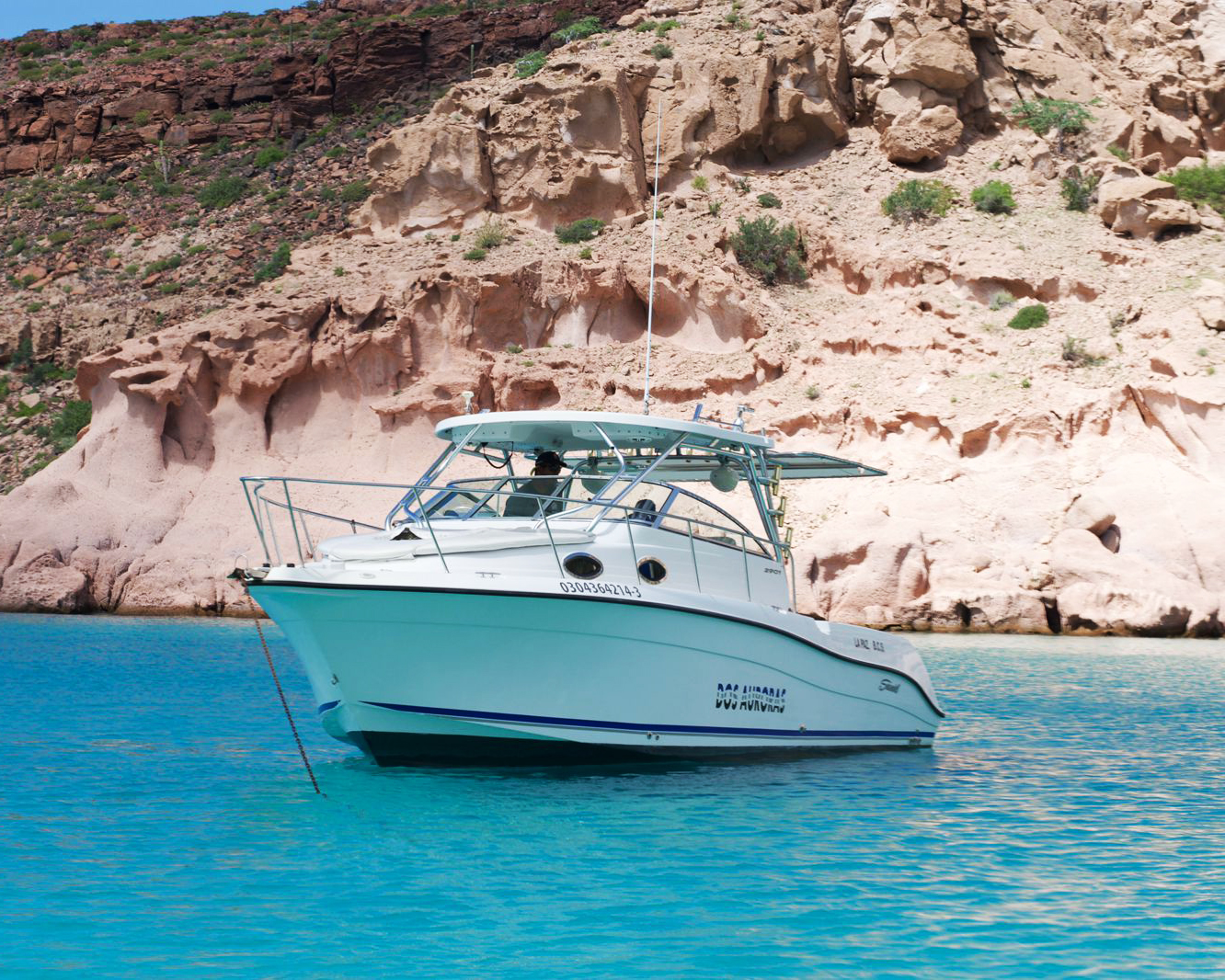 Sport Fishing Charters Mogote