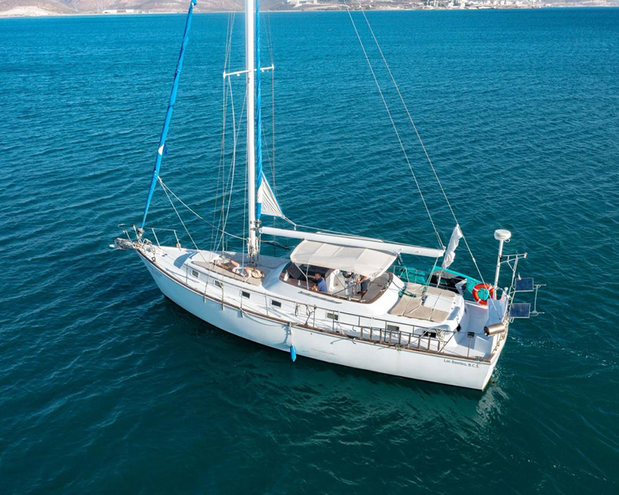 Sport Fishing Charters Mogote