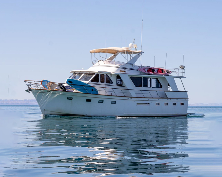 Sport Fishing Charters Mogote