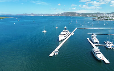 Why Visit La Paz, BCS: Adventure, Romance, and the Magic of Baja Sur