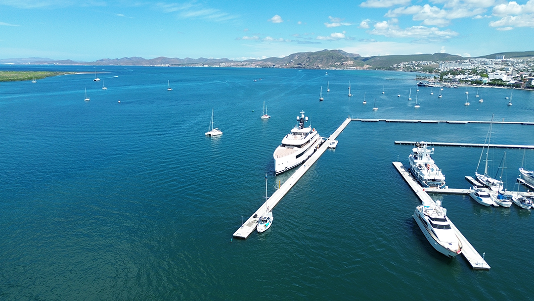 Why Visit La Paz, BCS: Adventure, Romance, and the Magic of Baja Sur