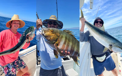 Fishing in La Paz, Baja California Sur: Romance and Riches of the Sea of Cortez