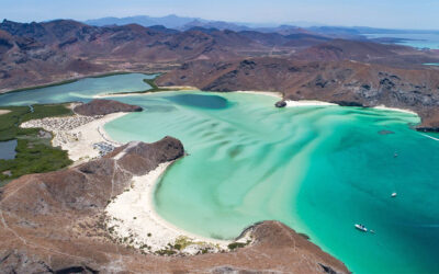 Top 10 Things to Do in La Paz, Baja California Sur