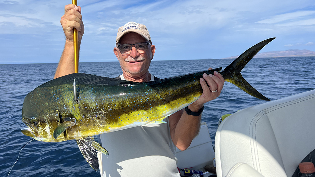 Mahi mahi La Paz fishing